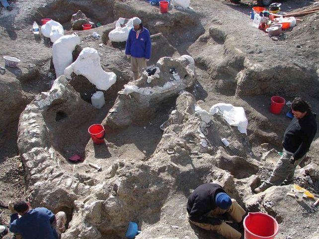 Descubren un dinosaurio gigante en la Patagonia
