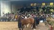 La Rural: la muestra priorizó el debate político