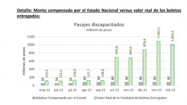 La Cámara Empresaria de Larga Distancia (Celadi) advierte que deberán suspender la entrega de pasajes gratuitos a personas con discapacidad&nbsp;