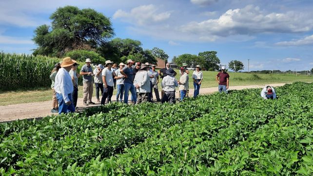 UNER: ciencia entrerriana que resiste y transforma el motor productivo de la provincia