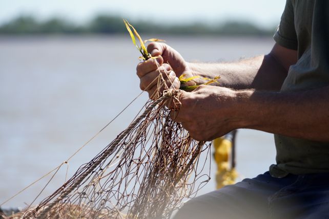Luego de la reunión con autoridades provinciales los pescadores reclaman volver a la veda de tres meses y asistencia económica