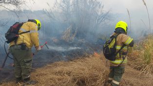 Bomberos Voluntarios:  vocación y capacitación constante