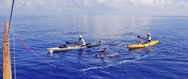 La nadadora de resistencia Diana Nyad cumplirá 63 años el miércoles y espera llegar para festejarlo en Florida el martes.