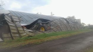 Un galpón, destruido por el fenómeno.&nbsp;