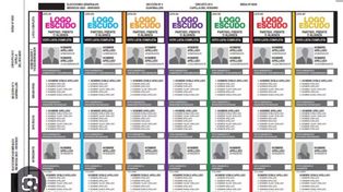 La boleta única en papel cambia las reglas de juego para las próximas elecciones nacionales.&nbsp;