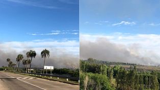 Brigadistas forestales trabajaban esta mañana para controlar el incendio desatado en el Parque Nacional Ciervo de los Pantano, en Campana