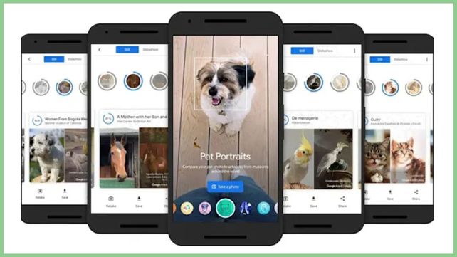 Pet Portraits se titula una nueva herramienta digital que invita al público a descubrir el doble de sus mascotas en el arte.