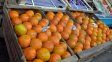 El municipio refuerza la alimentación de merenderos con frutas de estación El municipio refuerza la alimentación de merenderos con frutas de estación