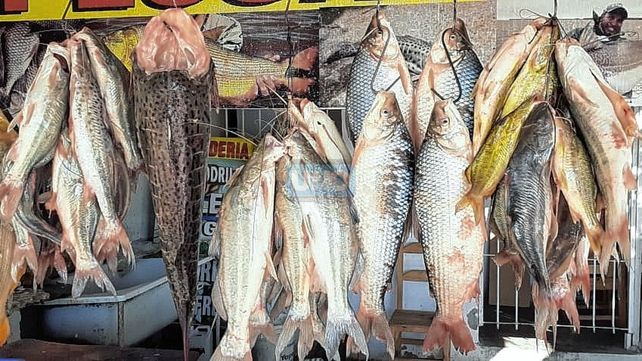 Pesca: la bajante del río Paraná preocupa la venta.