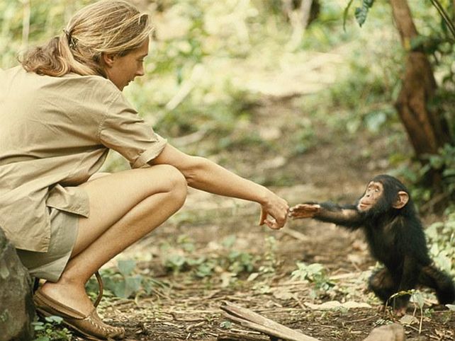 16 fotos para celebrar los 125 años de National Geographic