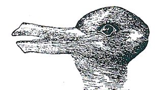 Pato o conejo, una imagen con más de cien años que ahora se volvió viral