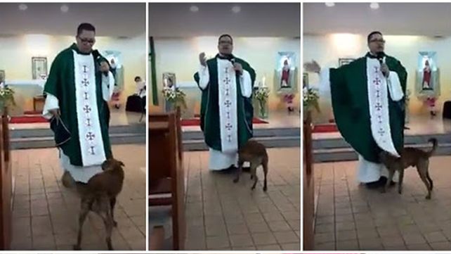 Durante una misa, un perro jugó con la sotana del cura y el video se hizo viral