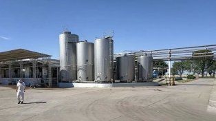 La Justicia decretó la quiebra de Alimentos Refrigerados Sociedad Anónima (Arsa)