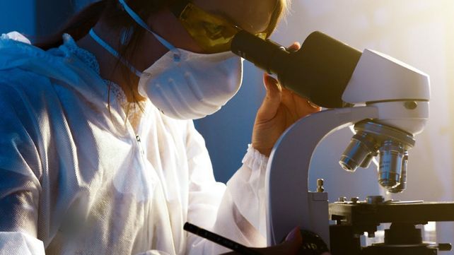 Investigación: creció el 33% la radicación de investigadores en Entre Ríos