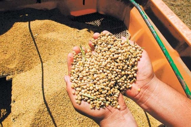 Harina de soja. Fue el producto de exportación que encabezó las ventas del primer cuatrimestre.