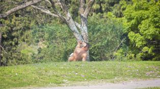 Hasta cuándo seguirá el calor