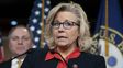 Liz Cheney, número 3 de los republicanos en la Cámara baja, será ejecutada por denunciar las manipulaciones de Trump.&nbsp;