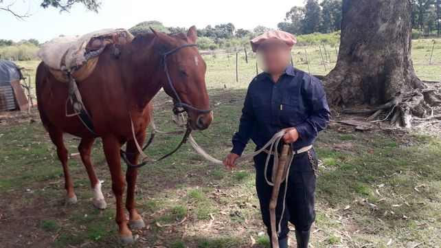 Uno de los caballos robados en Monte Vera