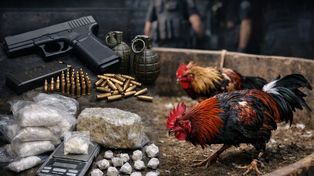Armas, droga y gallos de riña: imputaron a un hombre en una causa por desvío de armamento al mercado negro