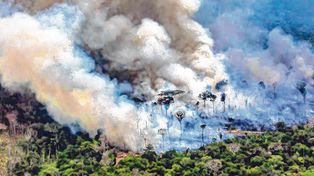 Hay condiciones para que se siga propagando el fuego en Amazonia