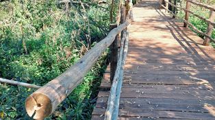 El proyecto turístico que contempla al Islote Curupí, área natural protegida, sufrió destrozos y el robo de materiales del sector de senderos.