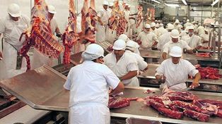 Dos frigoríficos podrían cerrar y dejar 500 trabajadores en la calle
