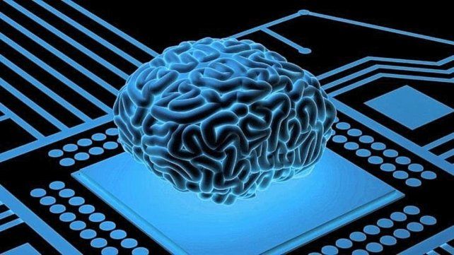 Construyeron una computadora con tejido de cerebro humano