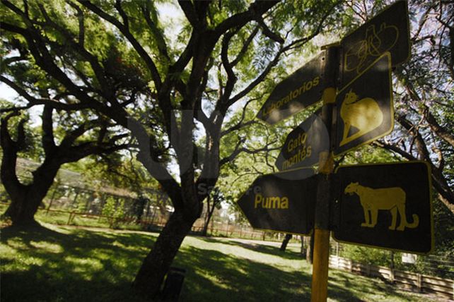 Granja la Esmeralda: el Plan Estratégico y dos años largos de silencio y olvido
