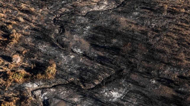 Impactantes imágenes de las áreas afectadas por los incendios en la Patagonia