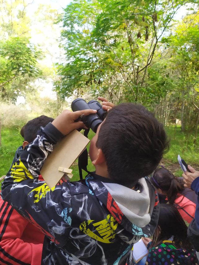 María Juana: invitan a escuelas a participar de una experiencia cognitiva en un ambiente rural