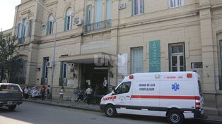 Un operario de la EPE sufrió 40 picaduras de avispas
