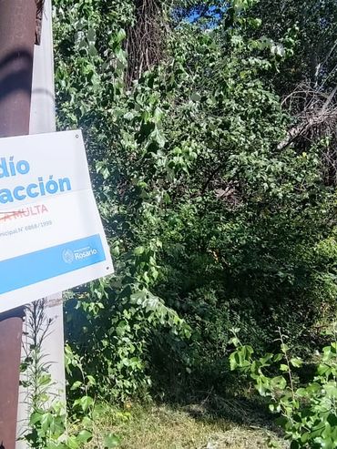 Proponen beneficios para aquellos que mantengan baldíos