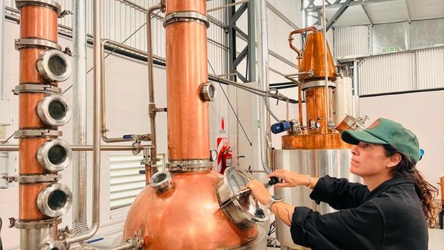 El nuevo alambique permite incrementar la producción con vistas a poder exportar.