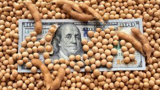 Tras dos semanas de vigencia del dólar soja