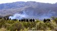 El operativo de más de 300 efectivos de las fuerzas federales se extendió por más de 12 horas en el Pu Lof de Cushamen.