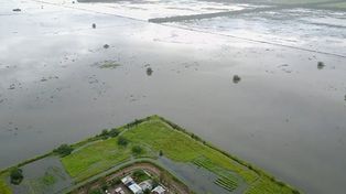 El norte bajo agua: Se perdió la totalidad de los cultivos de soja, girasol y algodón”