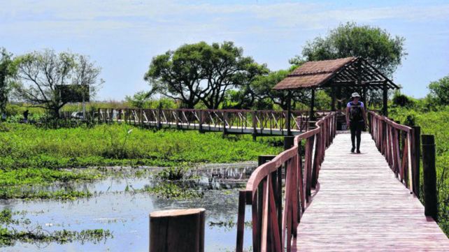 Pasarela. La reserva cuenta con una infraestructura pensada para disfrutar del espacio natural alterando lo menos posible el entorno de lagunas