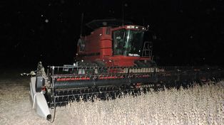Un trabajador rural murió aplastado por una máquina cosechadora