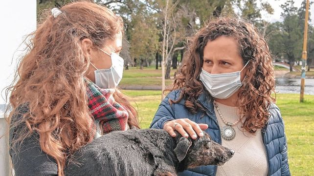 La salud animal es una política pública en la ciudad