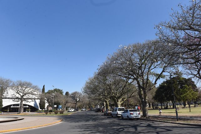 Un original plan para conocer la biodiversidad del parque Urquiza