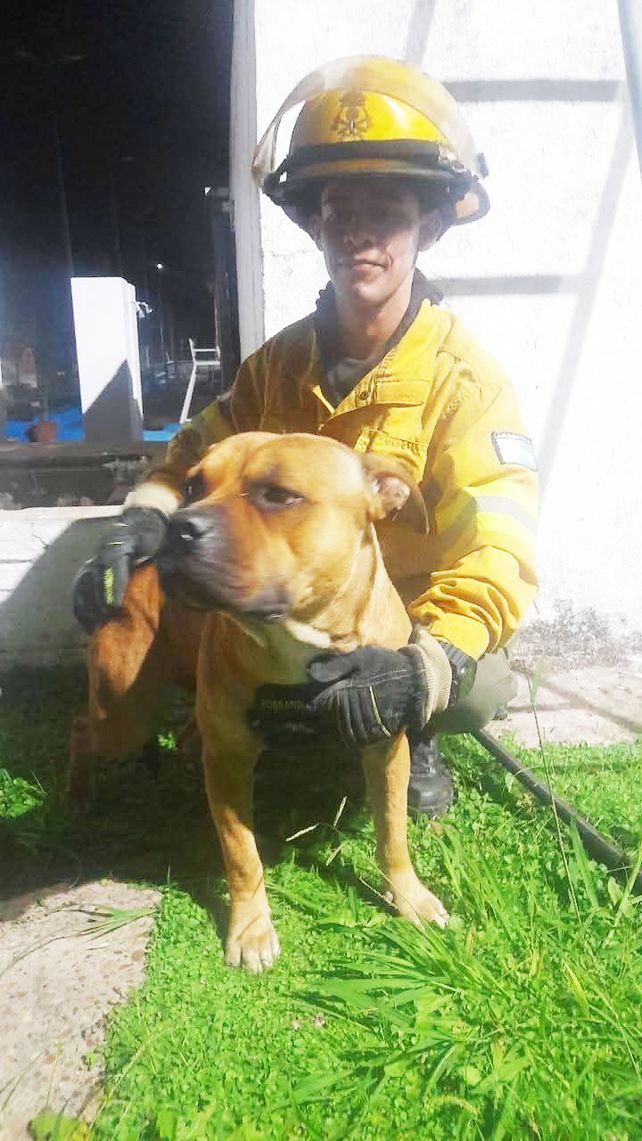 Paraná: bomberos Voluntarios rescataron un perro de un pozo