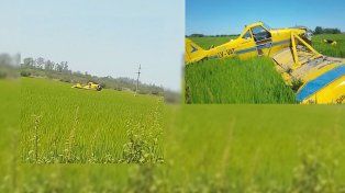 Un avión aeroaplicador golpeó un tendido eléctrico y se precipitó a tierra. Ocurrió en la zona rural de Villa Mantero&nbsp;