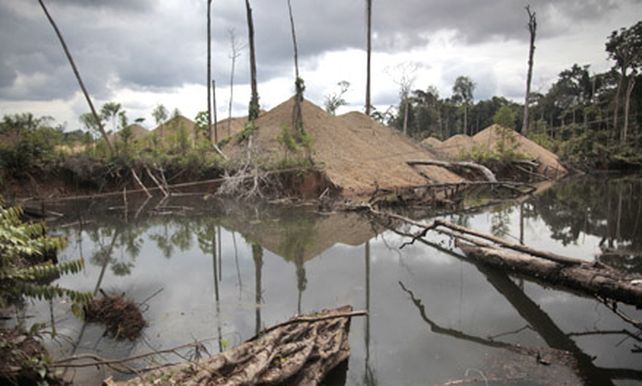 Los buscadores de oro causan estragos en el Amazonas peruano