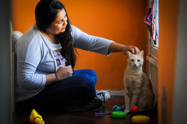 Día del animal. Desde alimento balanceado a cosmética. Todo lo que cuesta mantener a una mascota hoy.
