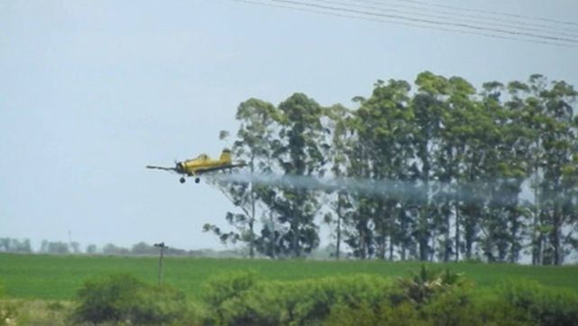 Peligro avión. El proyecto busca evitar las fumigaciones aéreas con agrotóxicos.