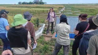 Alumnos de La Pampa visitaron el INTA Paraná para conocer prácticas de conservación ambiental