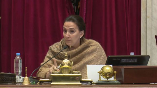 Tensión en el Senado cuando Michetti le cortó la palabra a dos senadores radicales
