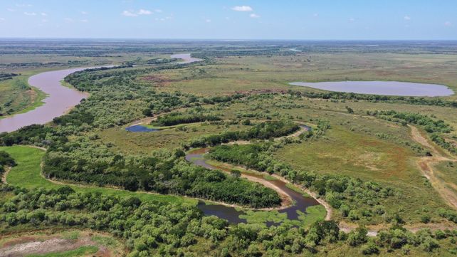 Los humedales y el Delta del Paraná.