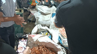Allanaron una chatarrería en Venado y secuestraron 700 kilos de cobre y 4 millones de pesos