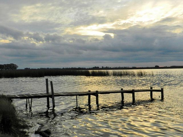 Venado Tuerto: jornada de forestación con especies nativas en el área protegida de la laguna El Hinojo